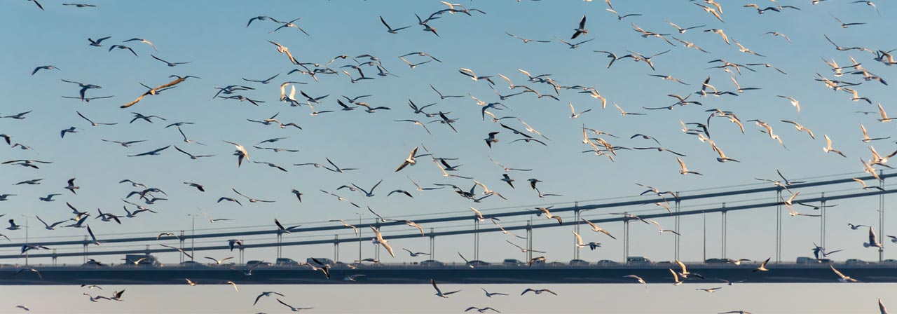  Bosphorus Strait
